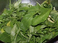DSC01325.jpg